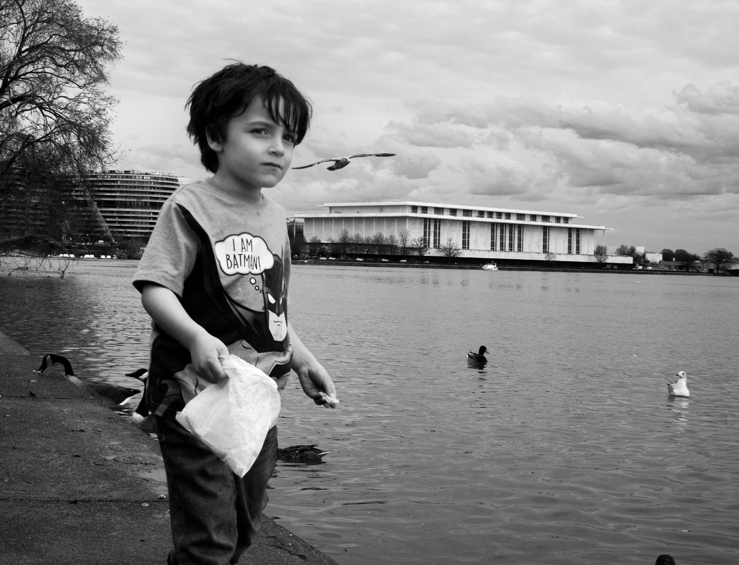 He pauses while feeding the birds